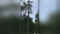 Телескопическая мачта длиной 10 м, подъем вручную